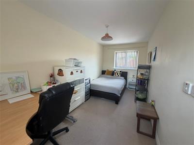 Picture 12